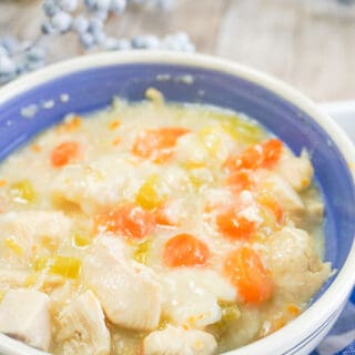 Slow Cooker Chicken and Dumplings - More Chicken Recipes