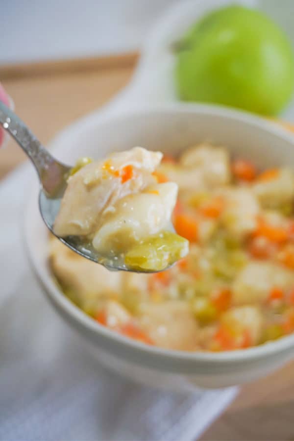 a closeup of a spoonful of Homestyle Chicken and Dumplings with more of it in a white bowl