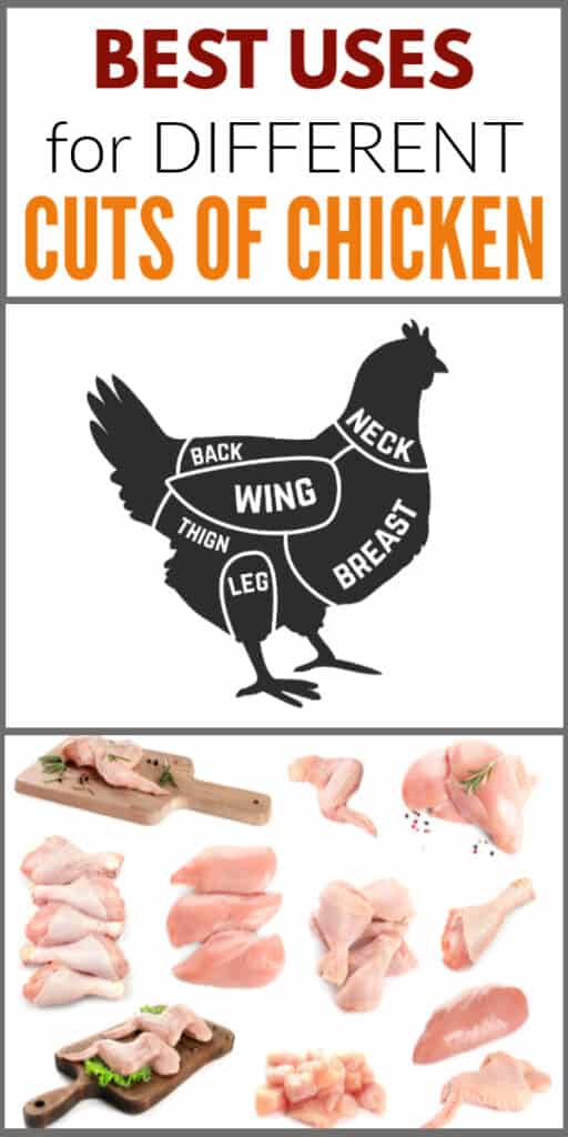 a graphic of the parts of a chicken and the raw meat for each different part of a chicken with title text reading Best Uses For Different Cuts Of Chicken