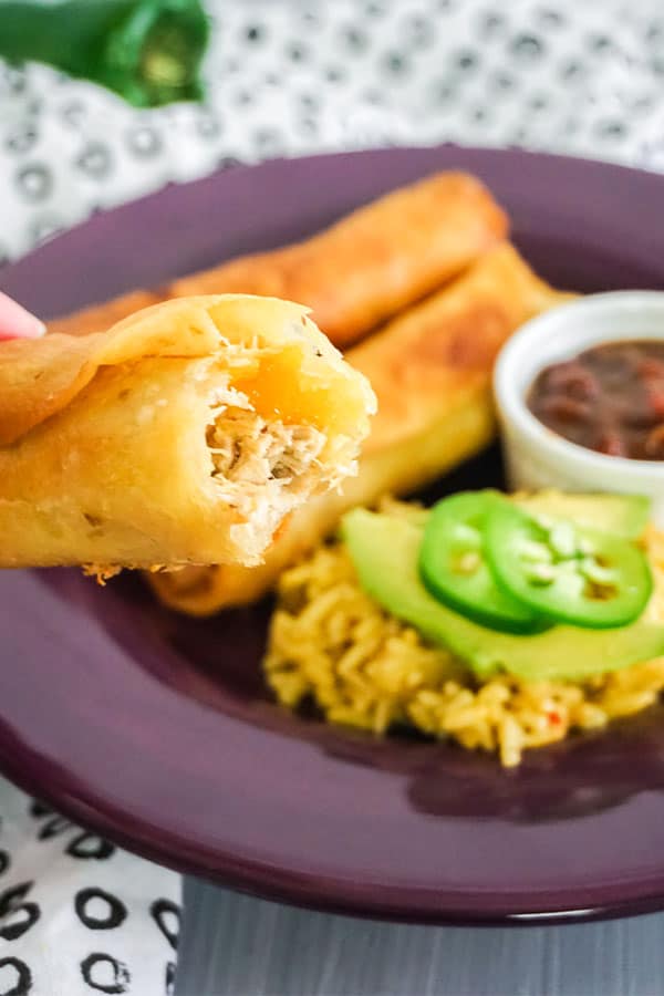 a hand holding a chicken taquito above more Chicken Taquitos next to rice and beans on a purple plate on a white and black cloth
