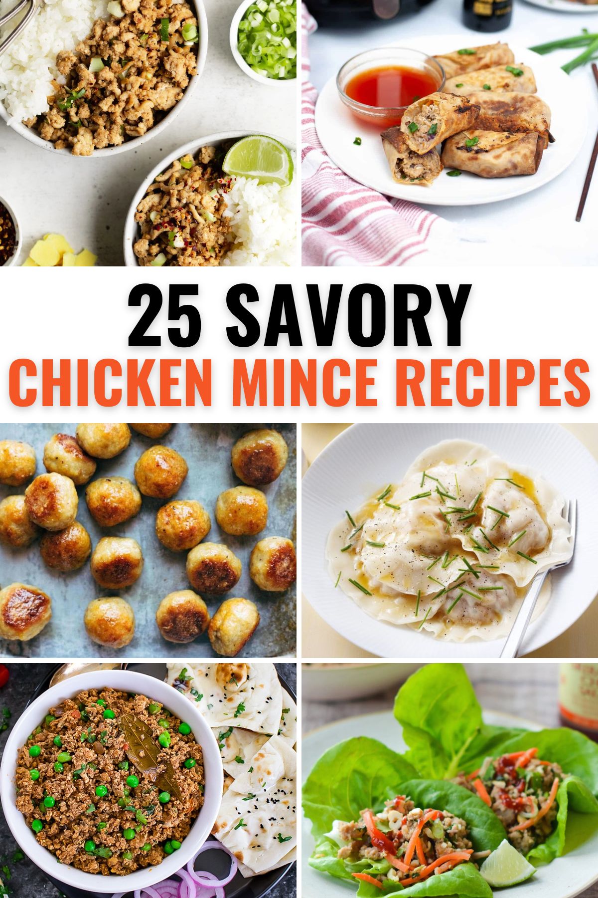 Collection of mince chicken recipes including stir fry, meatballs, spring rolls, ravioli, keema, and lettuce cups.