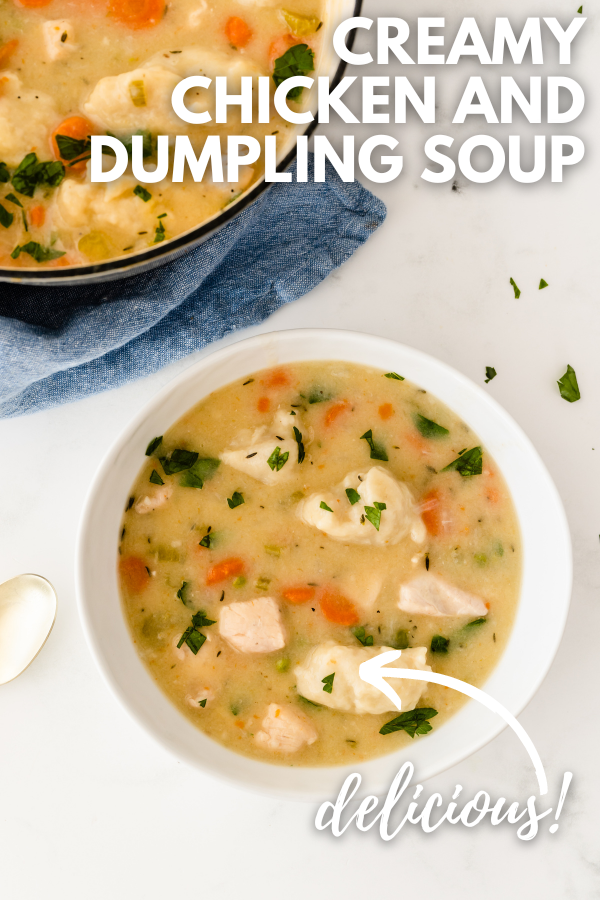 Creamy Chicken and Dumpling Soup | More Chicken Recipes
