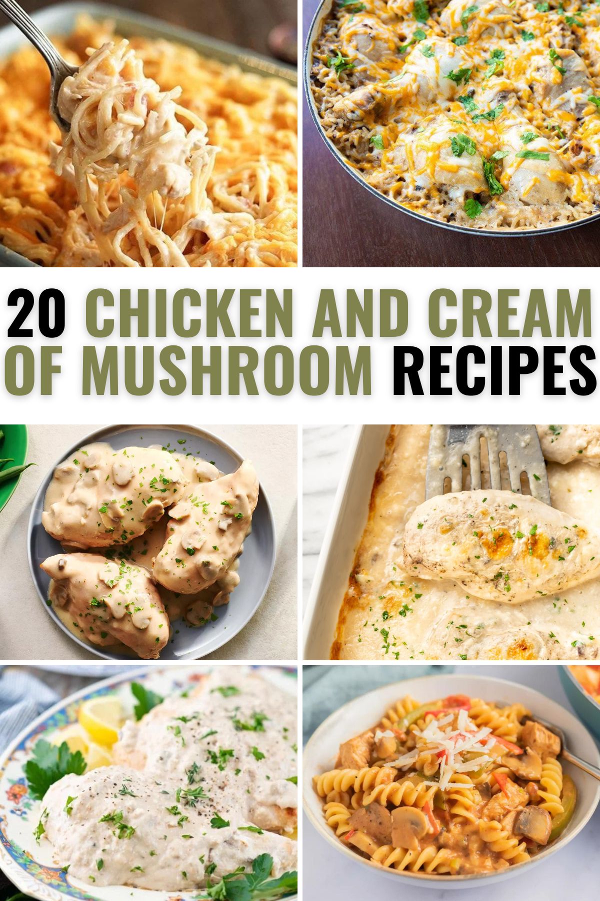 20 Chicken and Cream of Mushroom Soup Recipes
