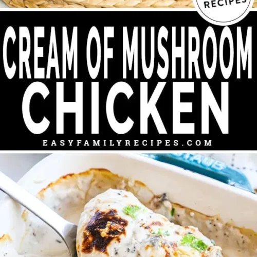 cream of mushroom chicken