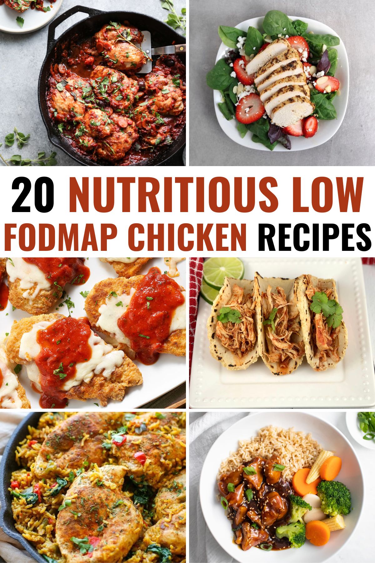 20 nutritious low fodmap recipes
