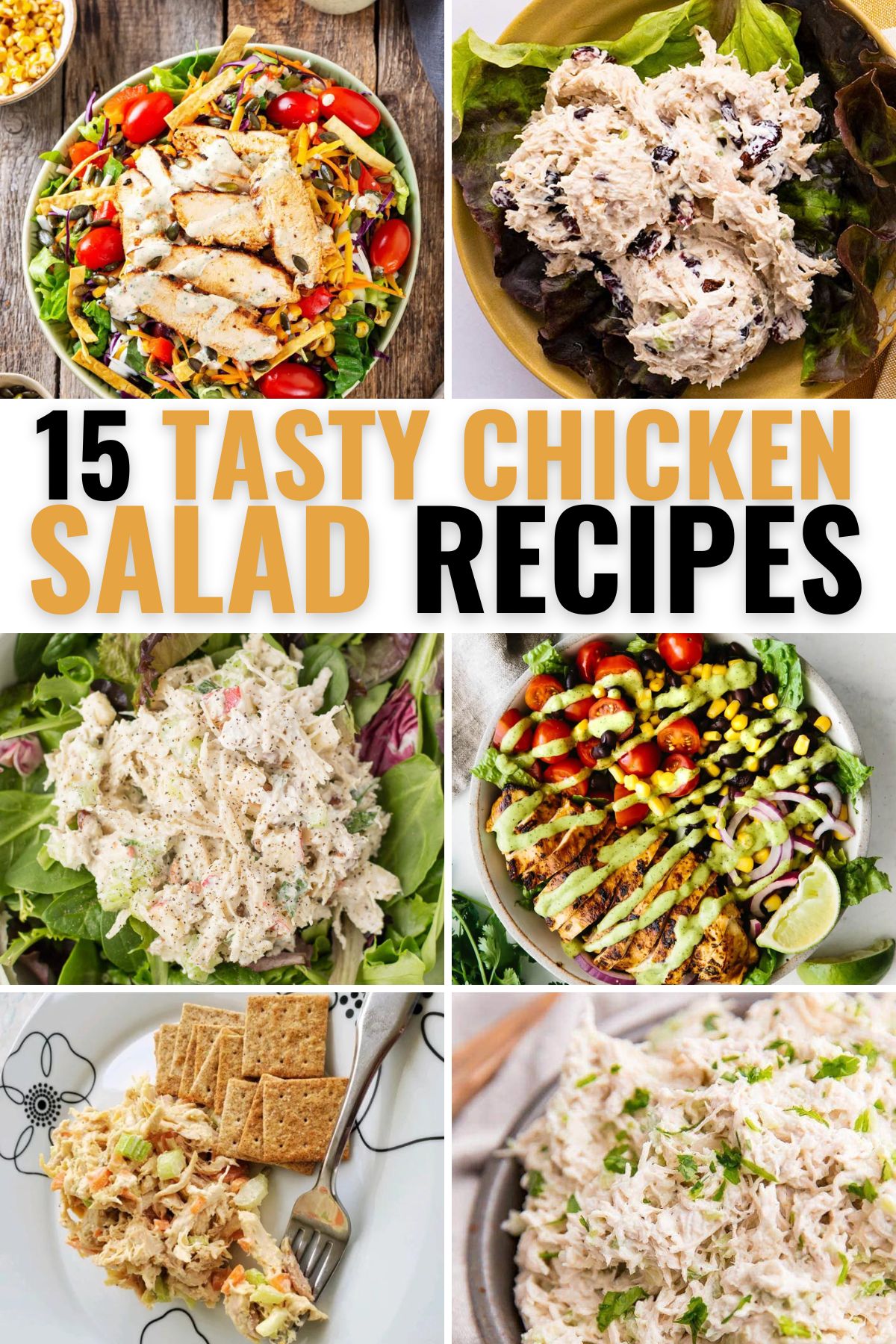 15 Tasty Chicken Salad Recipes Hero

